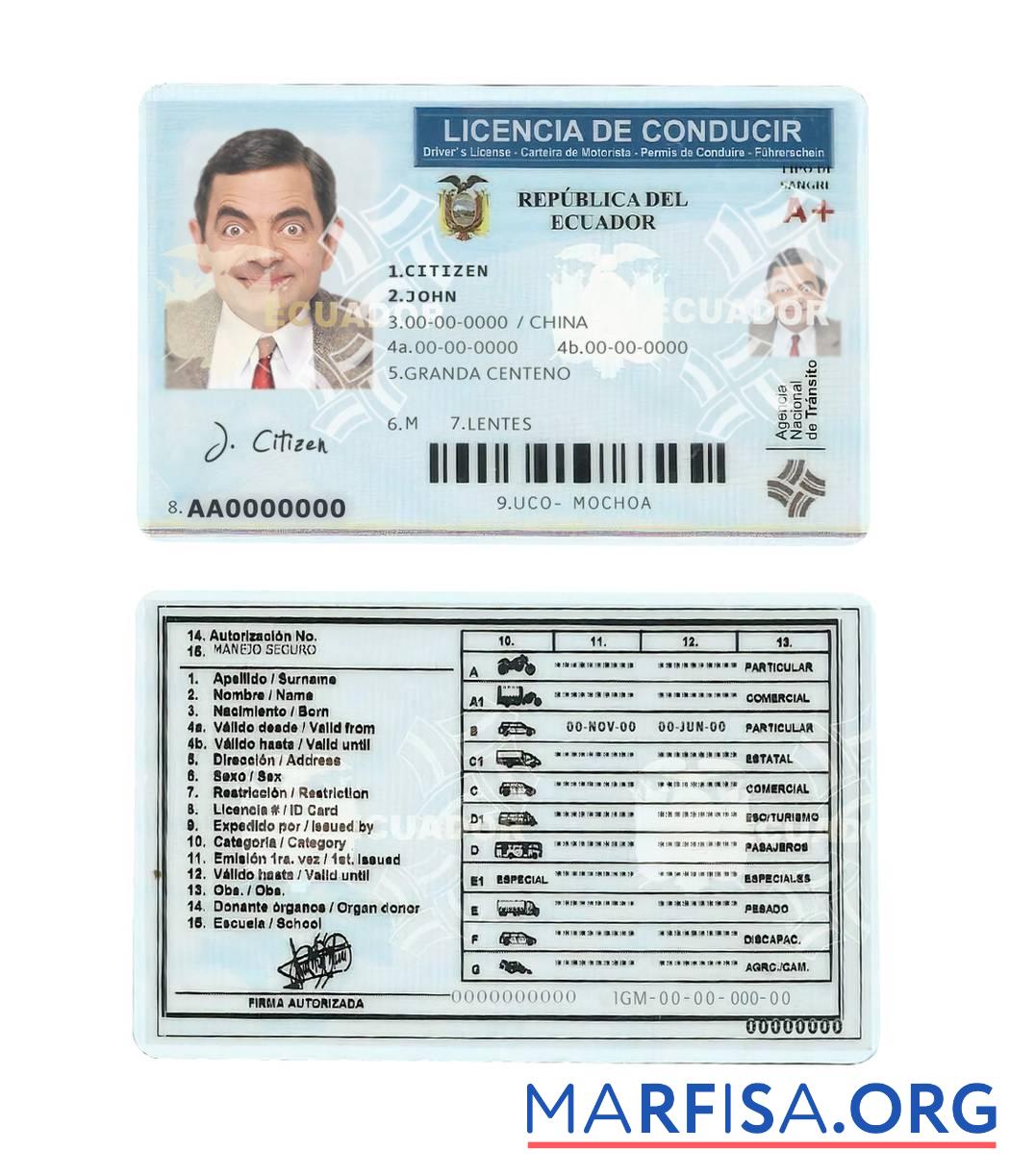 Realistic Ecuador driving license sample